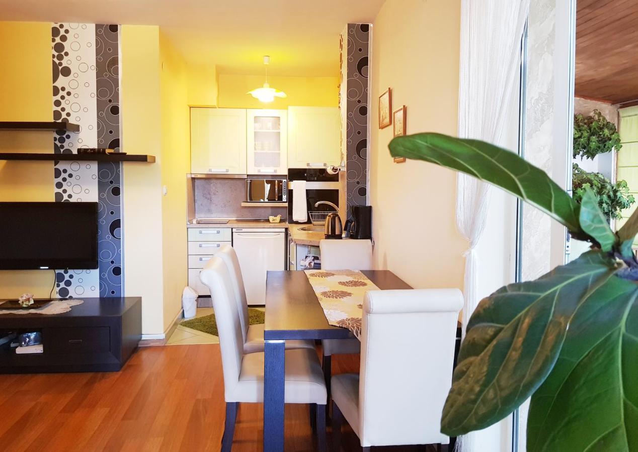 פלובדיב Apartment Nicole מראה חיצוני תמונה